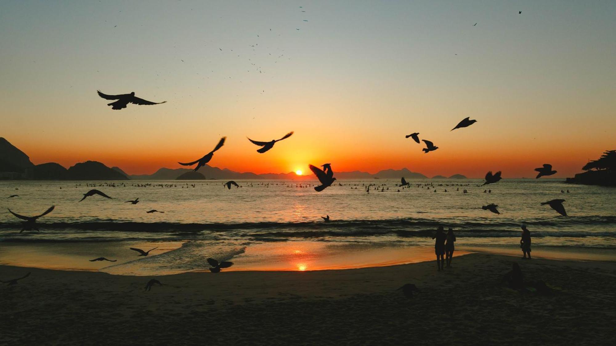 ריו דה ז'ניירו Palace Beach Hostel מראה חיצוני תמונה